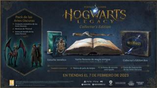 Hogwarts Legacy Collectors Edition - XBox ONE